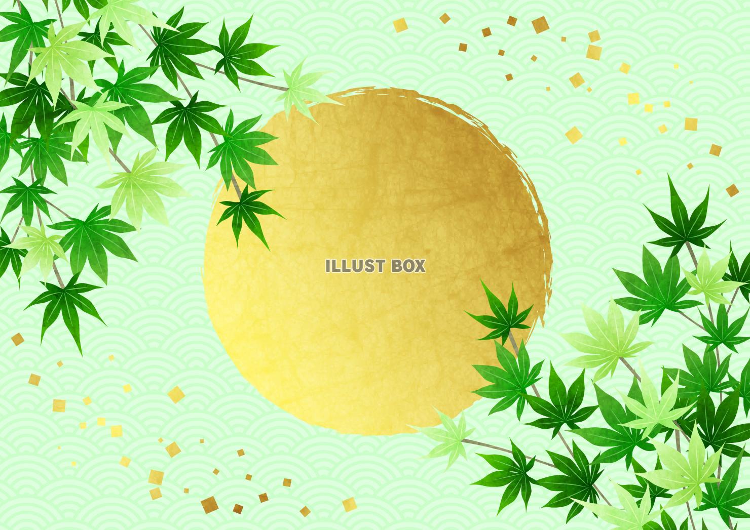 金箔、丸、青紅葉、和柄、薄緑、夏、横