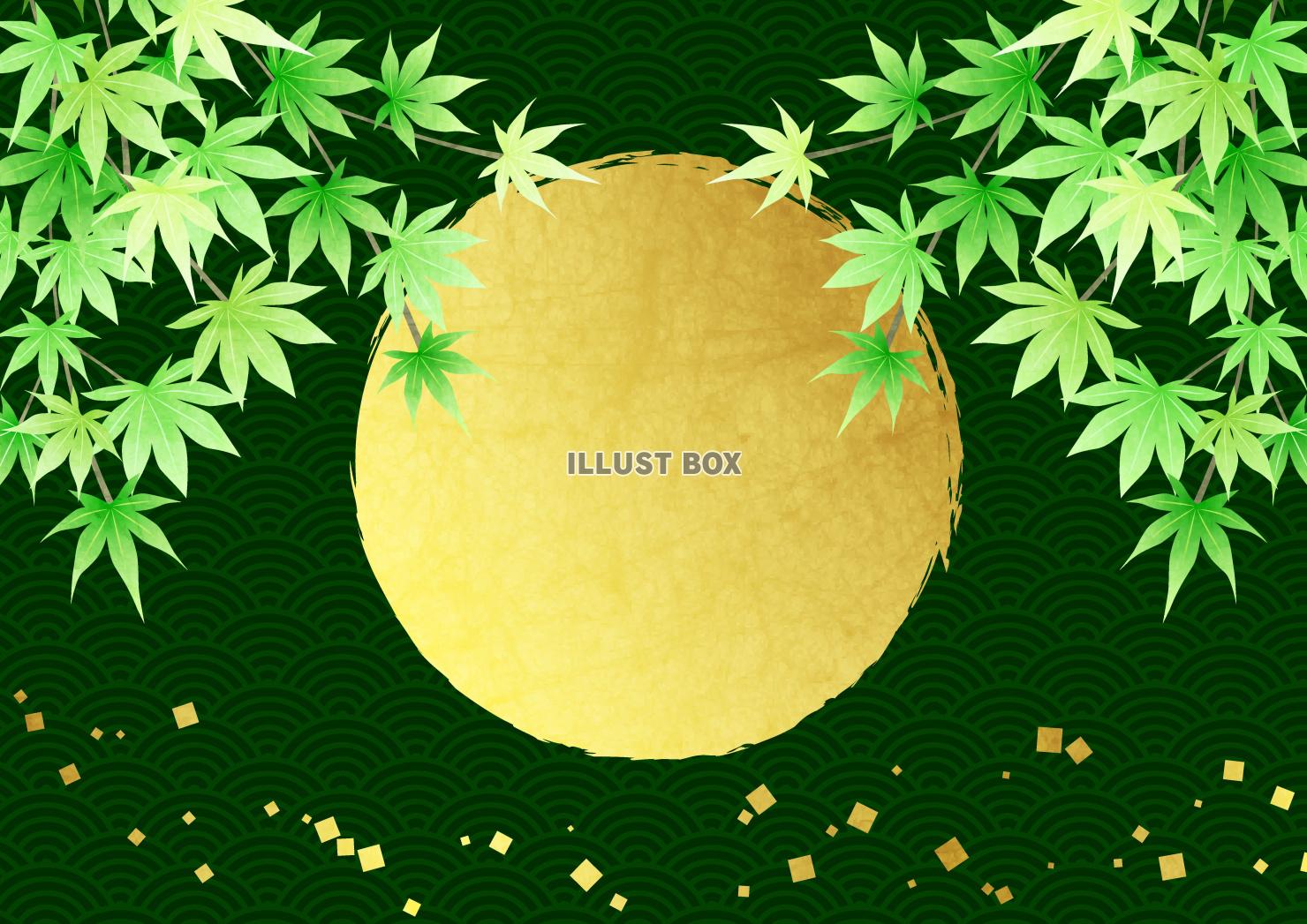金箔、丸、しだれ青紅葉、和柄、緑、夏、横