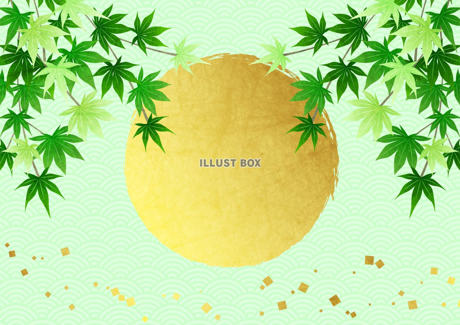 金箔、丸、しだれ青紅葉、和柄、薄緑、夏、横