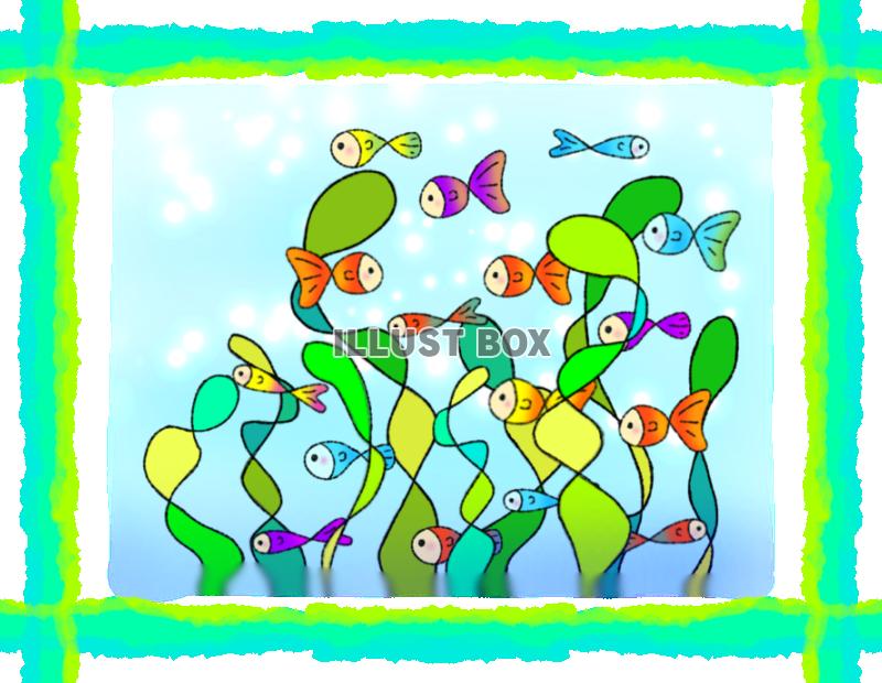 熱帯魚