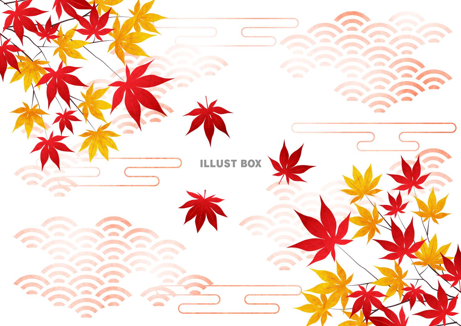 紅葉、和柄、秋、雲、和紙、横