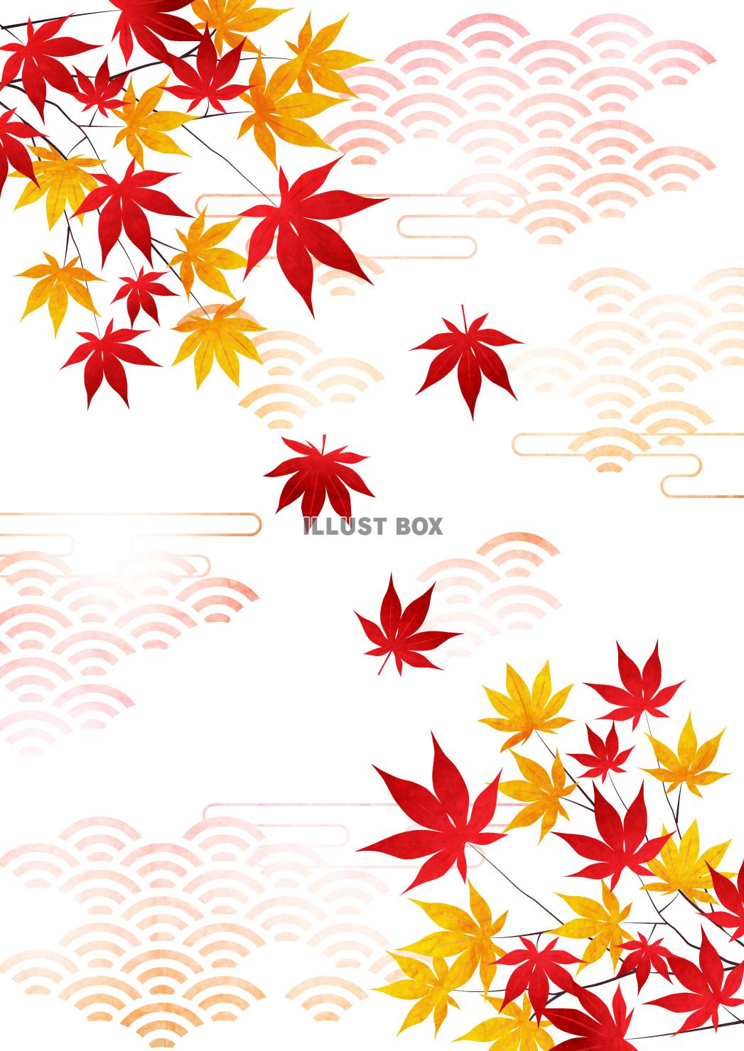 紅葉、和柄、秋、雲、和紙、縦