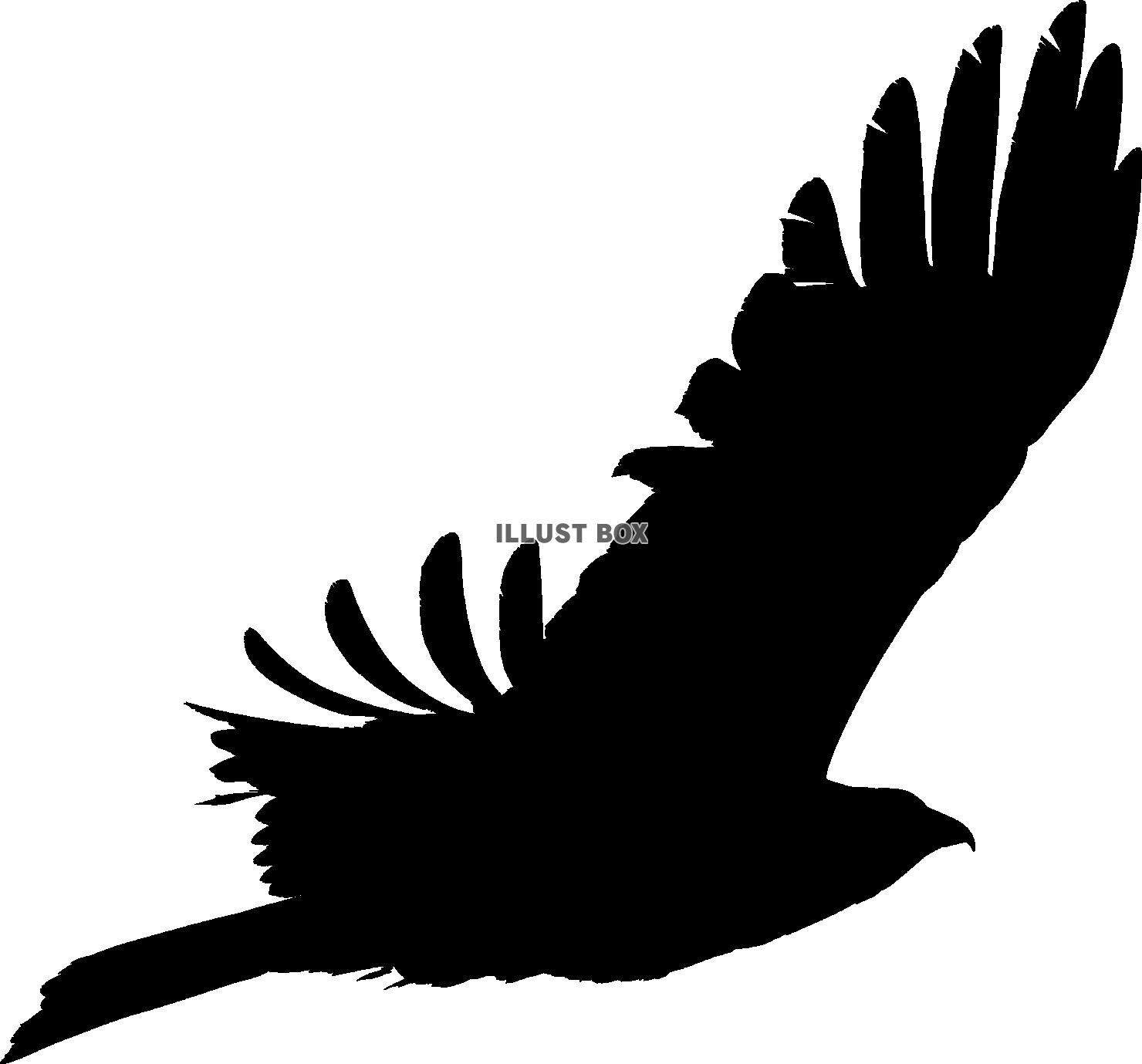 大空に翼を広げ翔ぶ鳥のシルエット