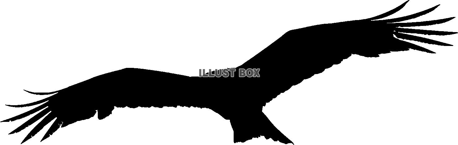 大空に翼を広げ翔ぶ鳥のシルエット