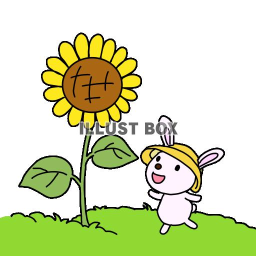 ひまわりとうさぎ（ワンポイントカット）