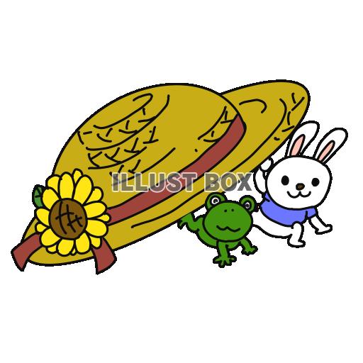 麦わら帽子とウサギ