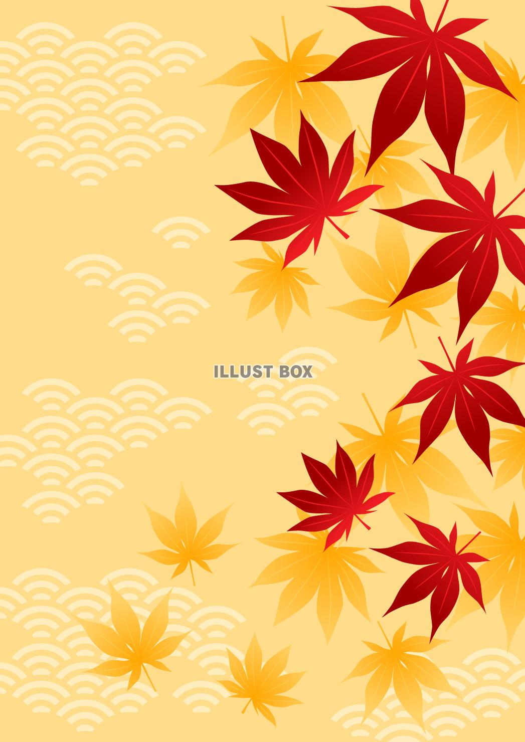 紅葉、青海波、秋、オレンジ色、縦