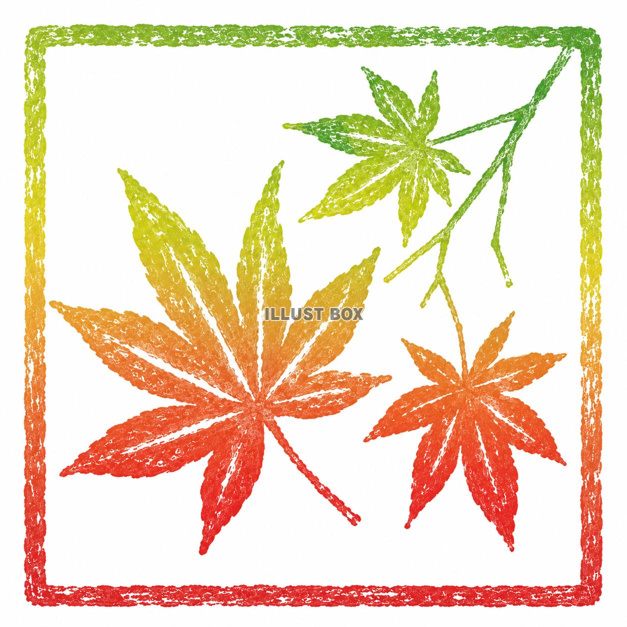 芋版風　紅葉　グラデーション