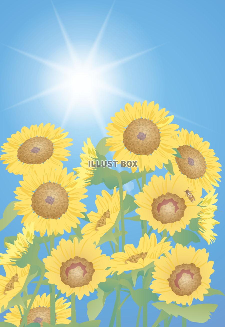 夏の日（ZIPにEPSCS2版）