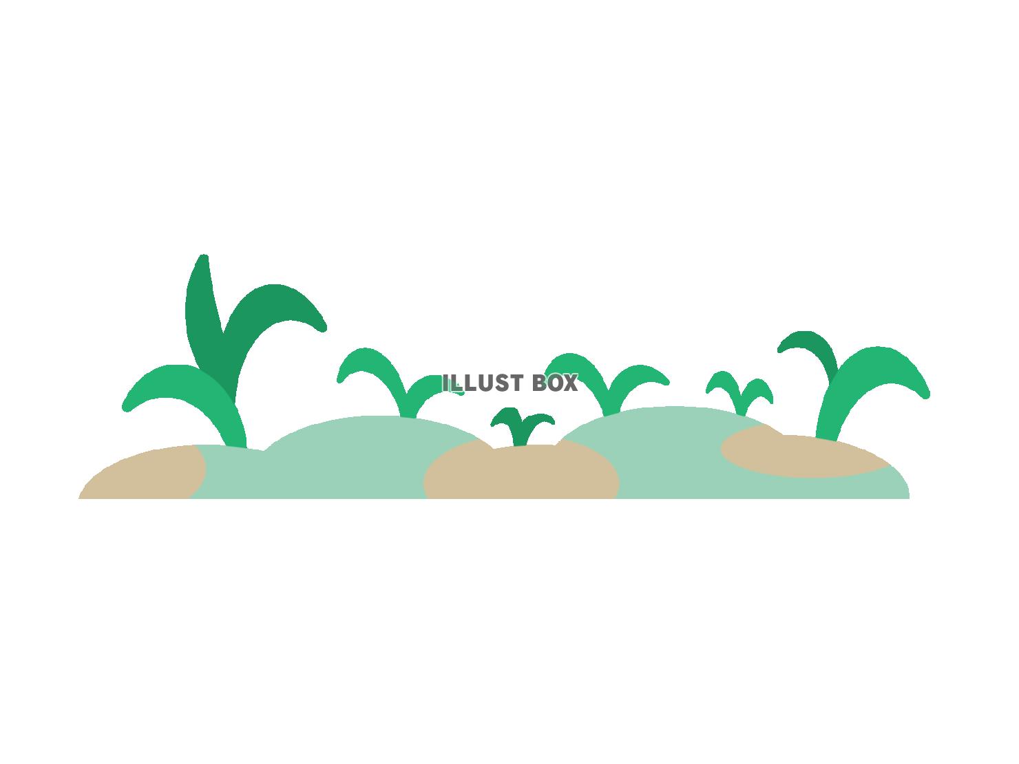 草取りが必要な庭や土に生える沢山の雑草
