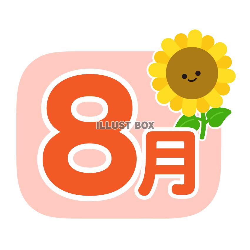 8月　ひまわり