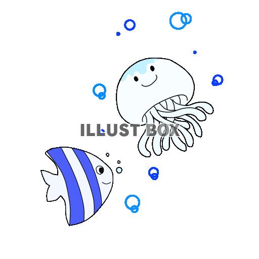夏の海