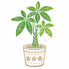 ハンコ風　パキラ　観葉植物