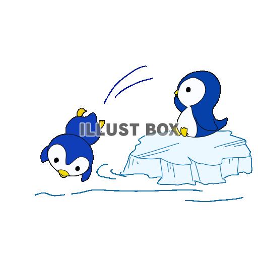 ペンギンが遊ぶ海