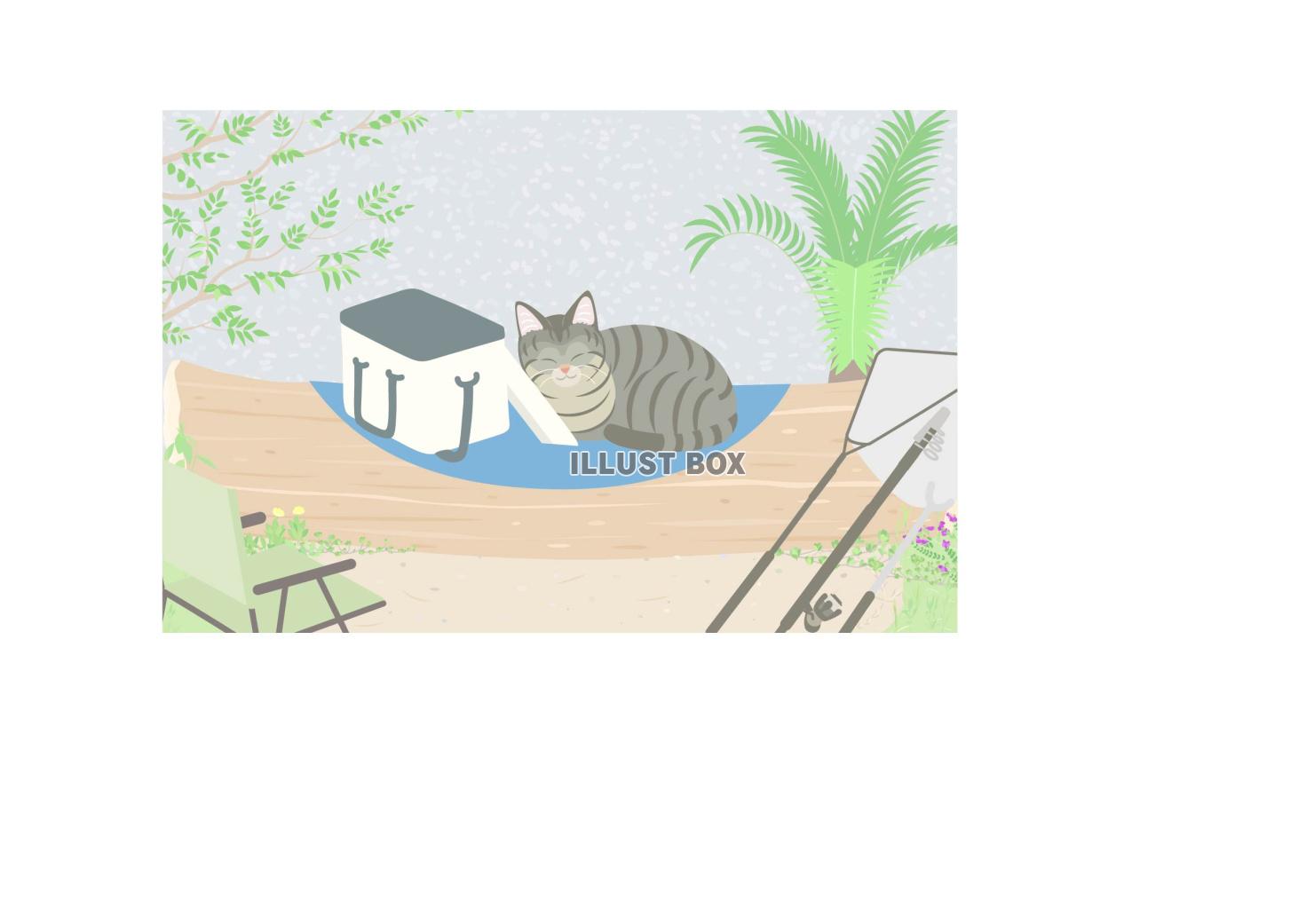 昼寝中の野良猫