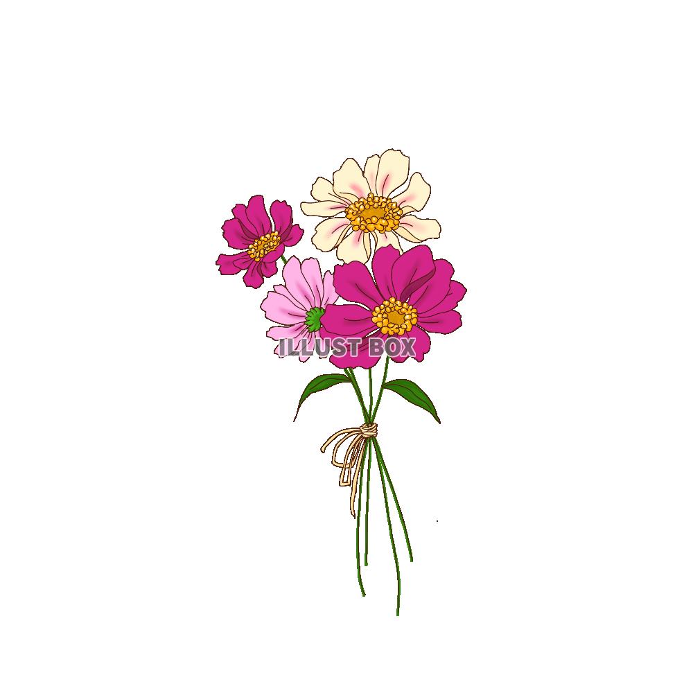png ジニア 花束