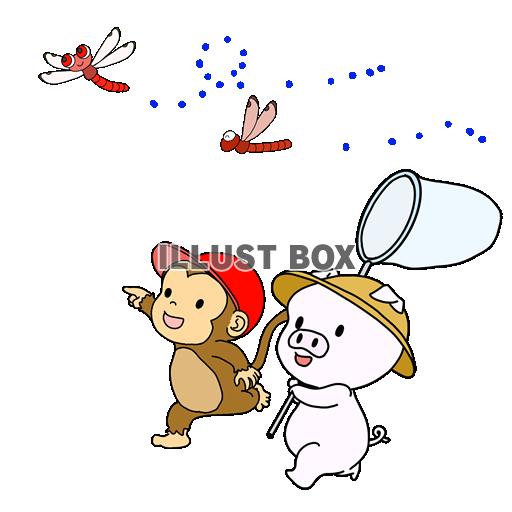 トンボとあそぼう（こぶたとこざる）