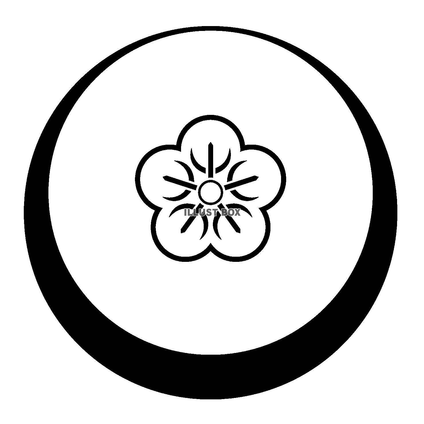 家紋　朝顔紋