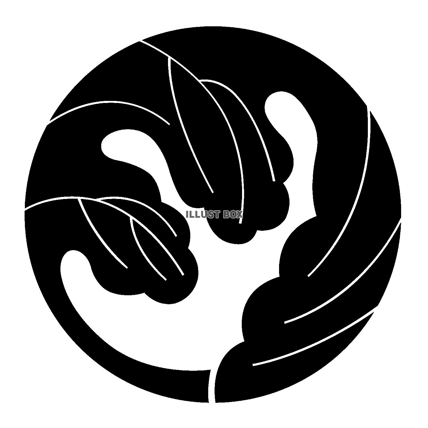 家紋　朝顔紋