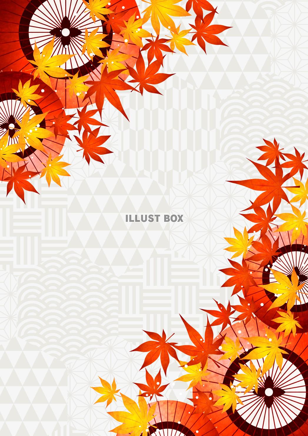 紅葉、白ハニカム和柄、秋、和傘、縦