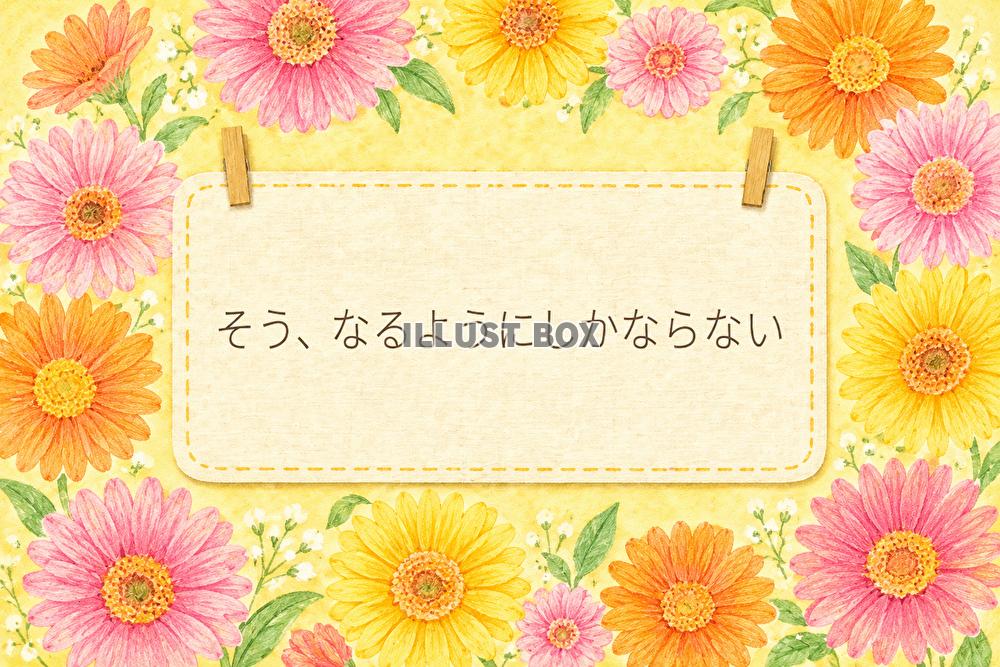一言シリーズ　なるようにしかならない