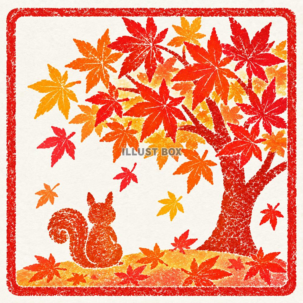 りすさん紅葉を楽しみ中