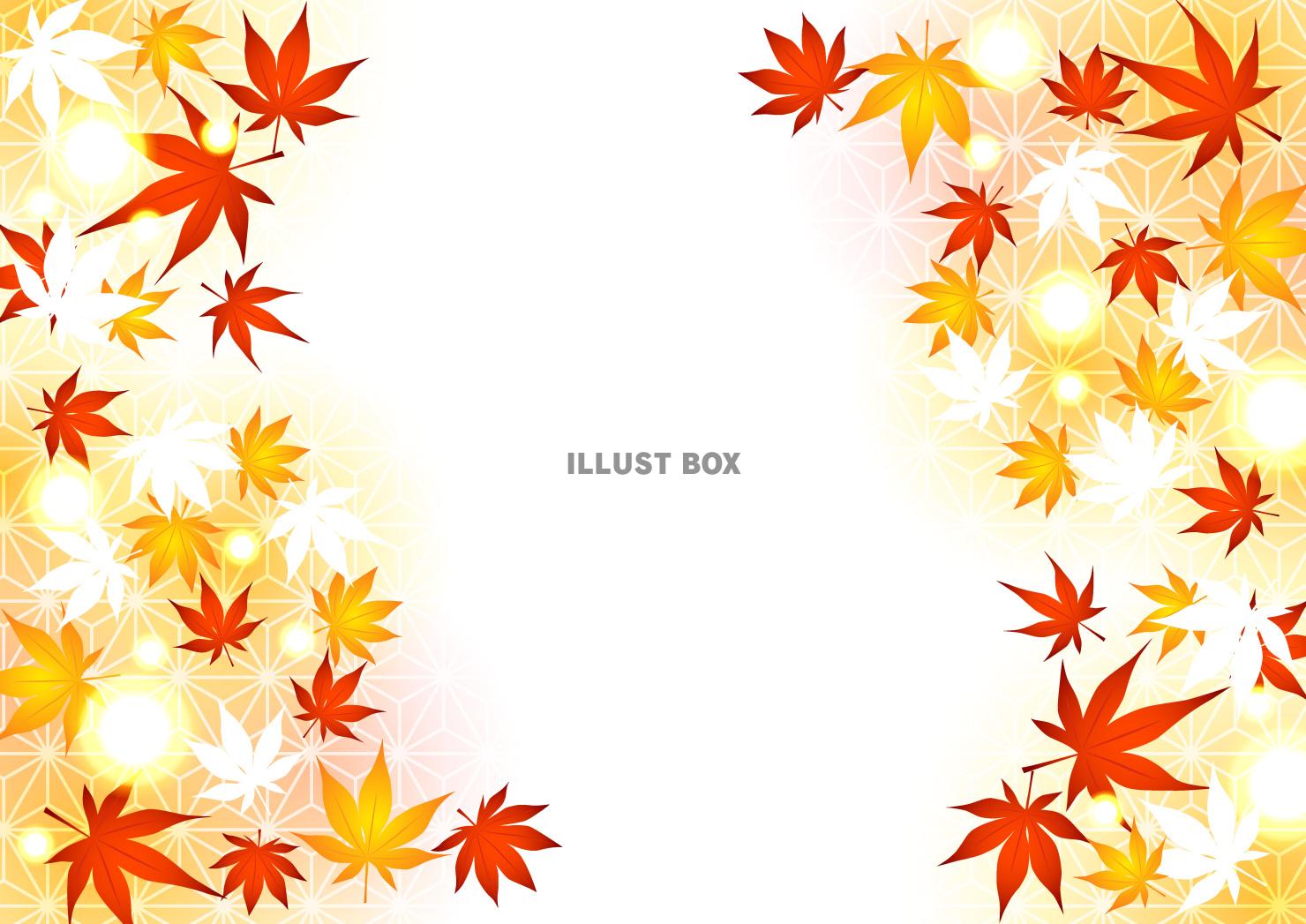 紅葉、和柄、秋、光、横