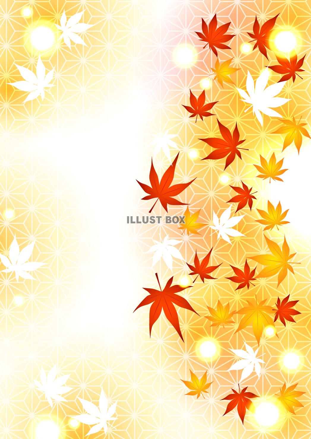 紅葉、和柄、秋、光、縦