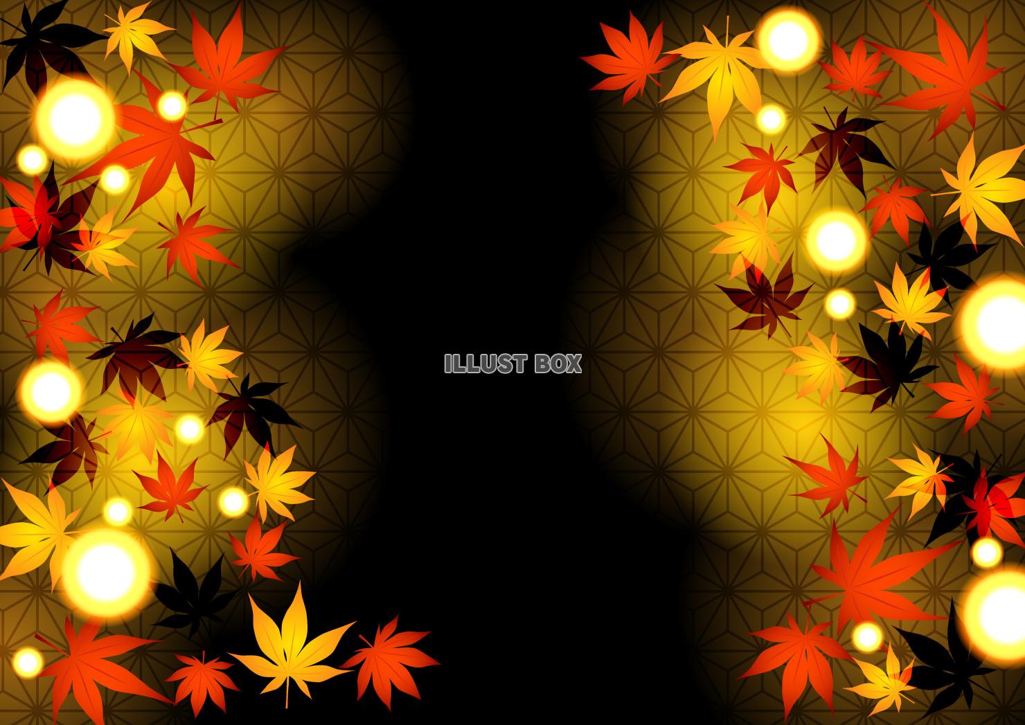 紅葉、和柄、秋、闇、縦