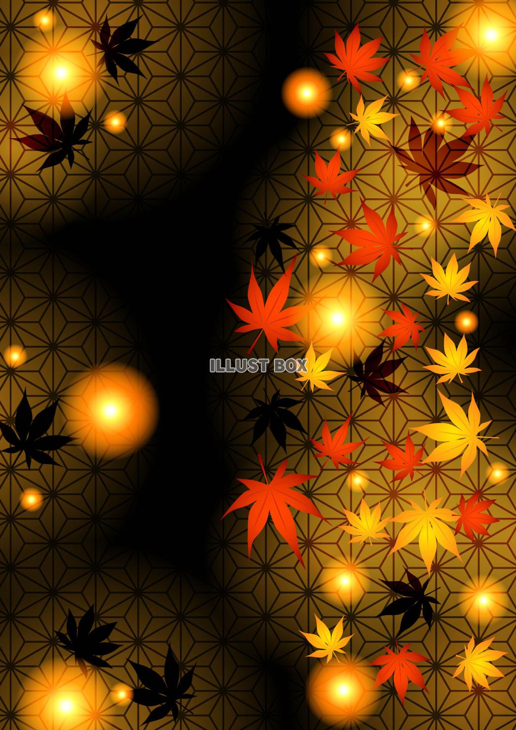 紅葉、和柄、秋、闇、縦