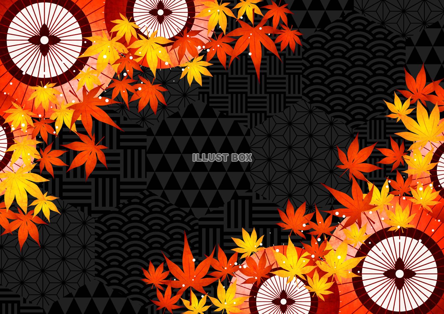 紅葉、黒ハニカム和柄、秋、和傘、横