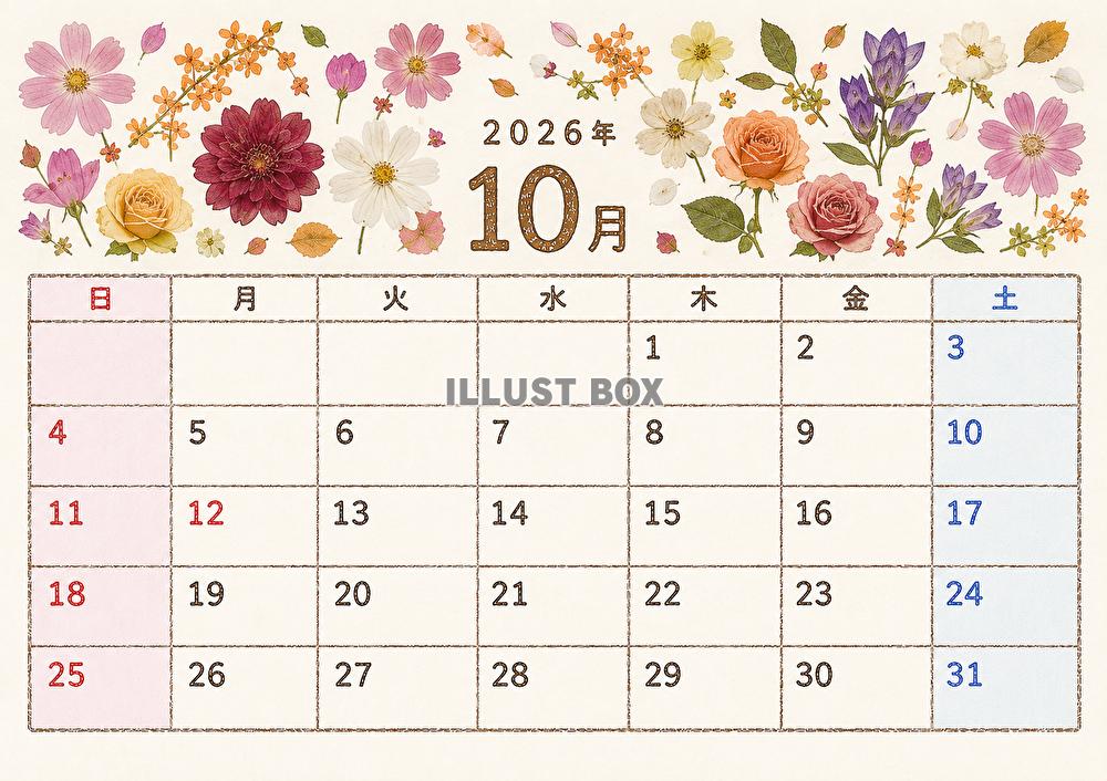 カレンダー２０２６年１０月　押し花風