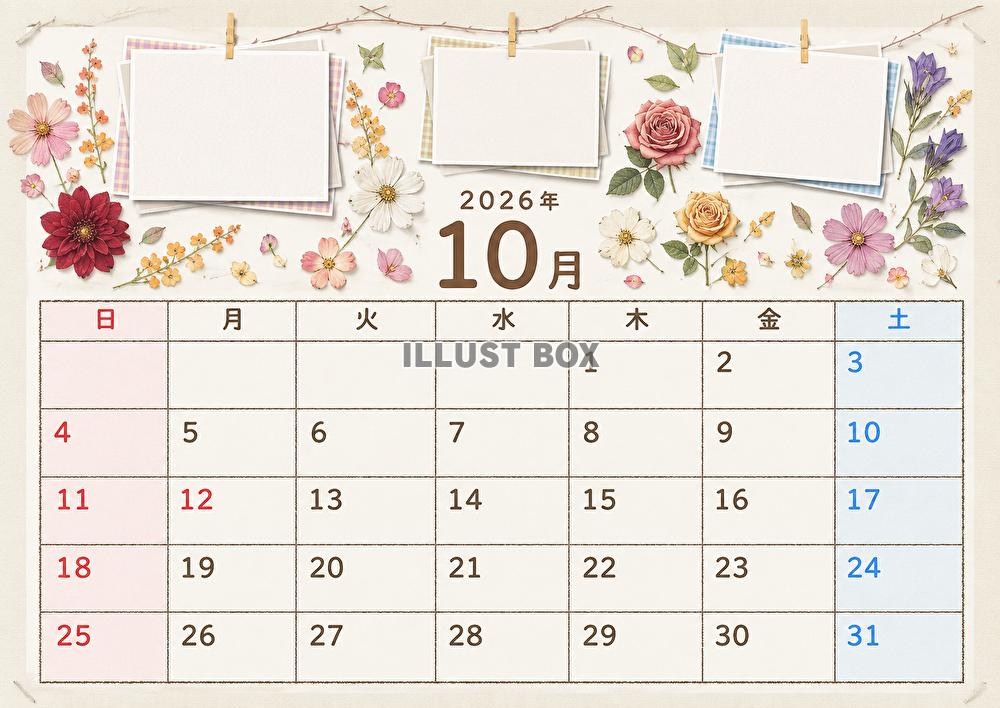 カレンダー２０２６年１０月　押し花風　カード付