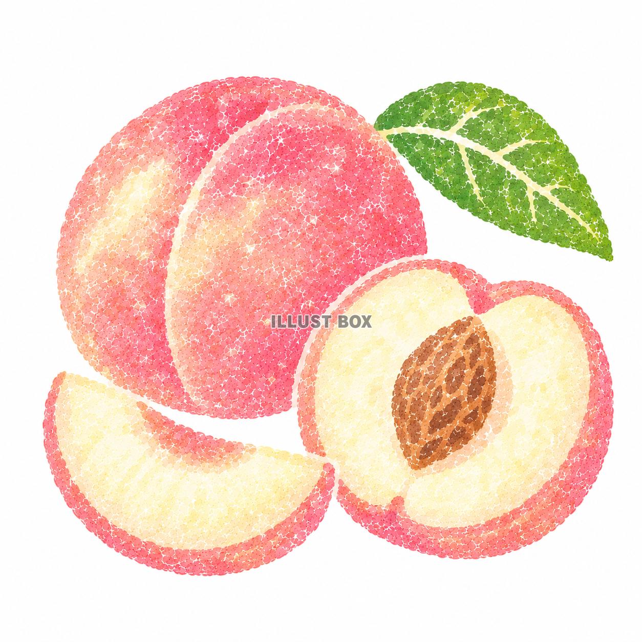 美味しい　もも　イラスト　ハンコ風