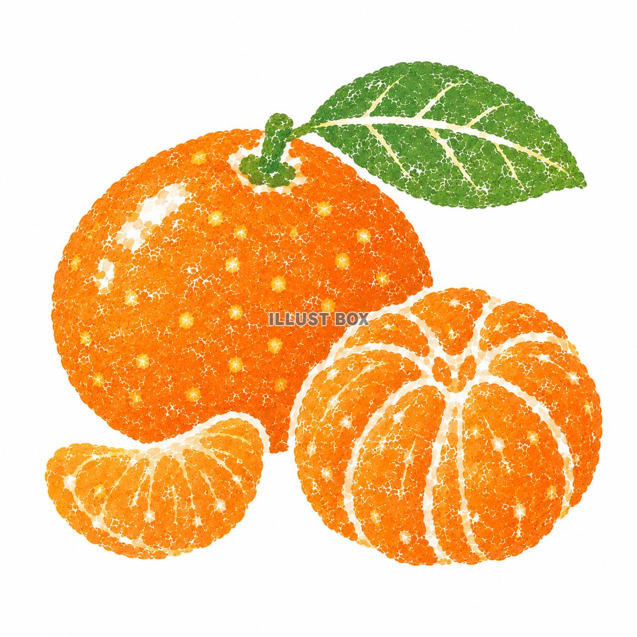美味しい　みかん　イラスト　ハンコ風