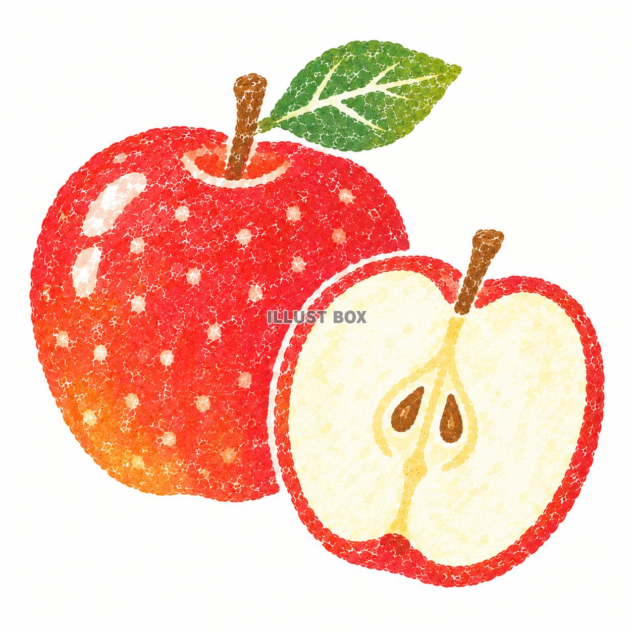 美味しい　リンゴ　イラスト　ハンコ風