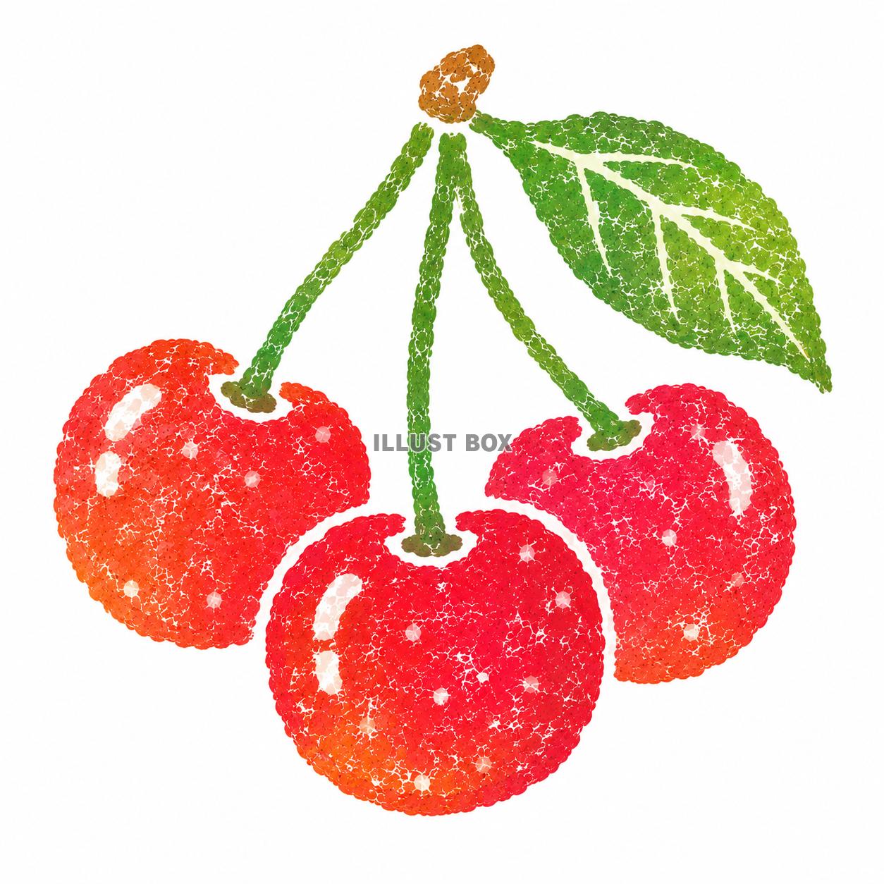 美味しい　さくらんぼ　イラスト　ハンコ風