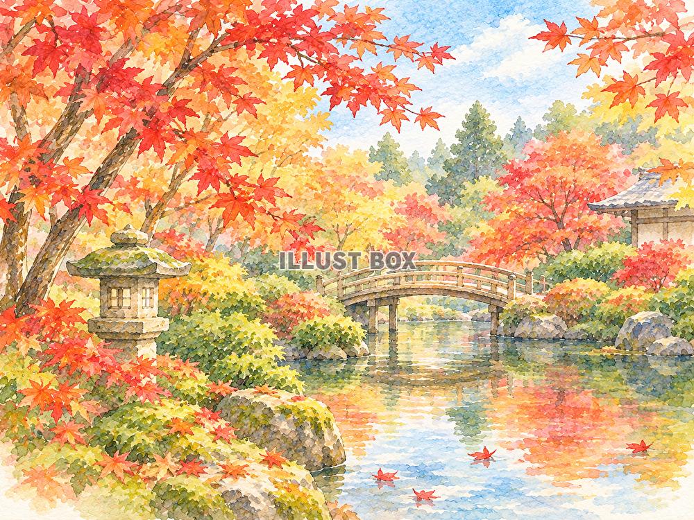 紅葉始まる　もみじ