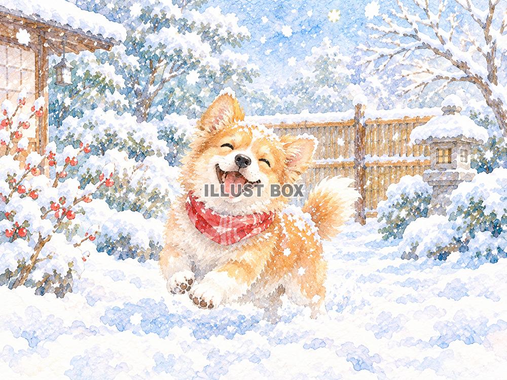 雪降る　ワンちゃん　うれしい