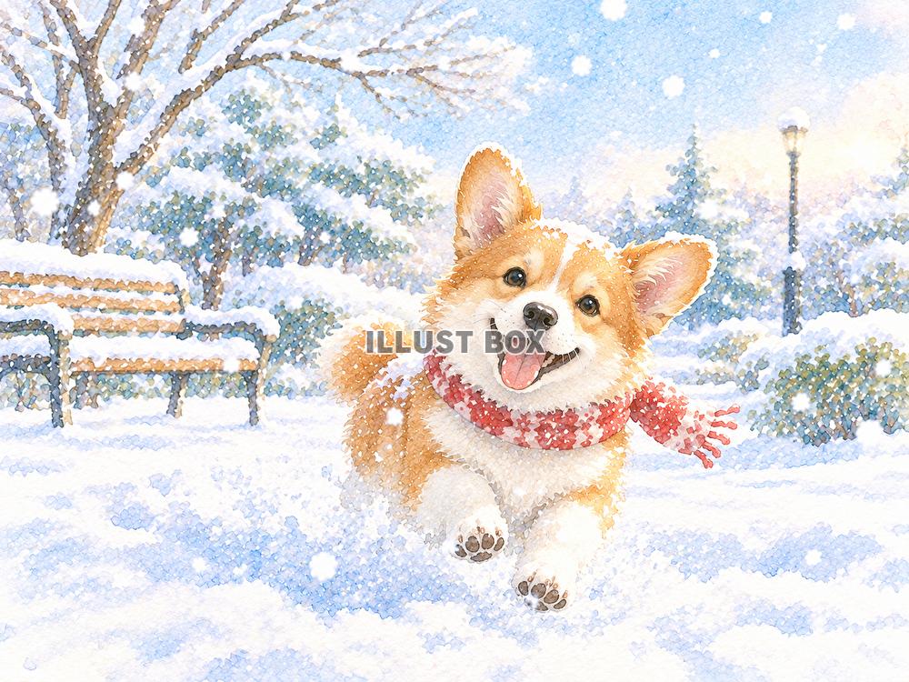雪降る　ワンちゃん　うれしい　マフラーしてる