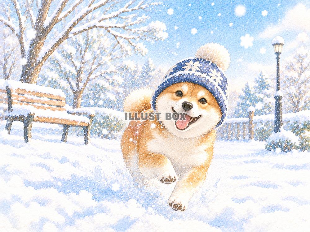 雪降る　ワンちゃん　うれしい　帽子はどうですか？