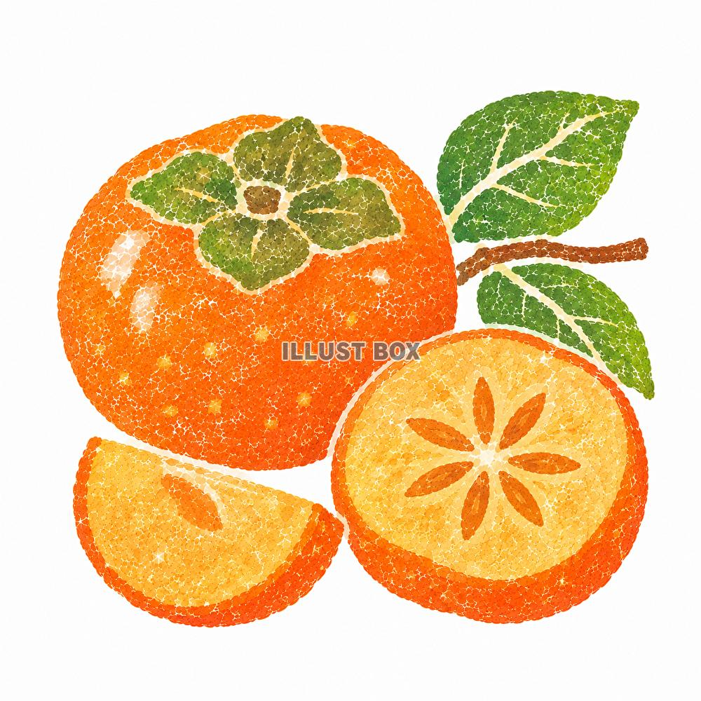 美味しい　柿　イラスト　ハンコ風