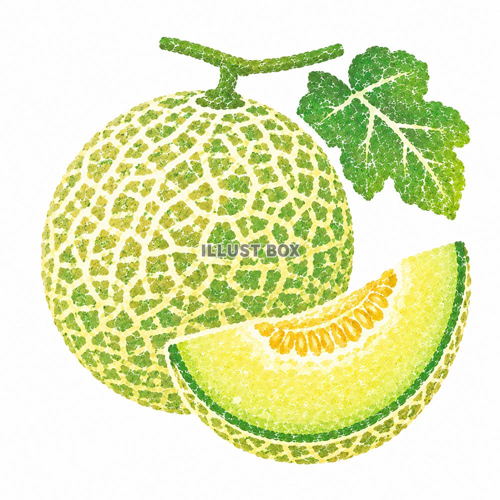 美味しい　メロン　イラスト　ハンコ風