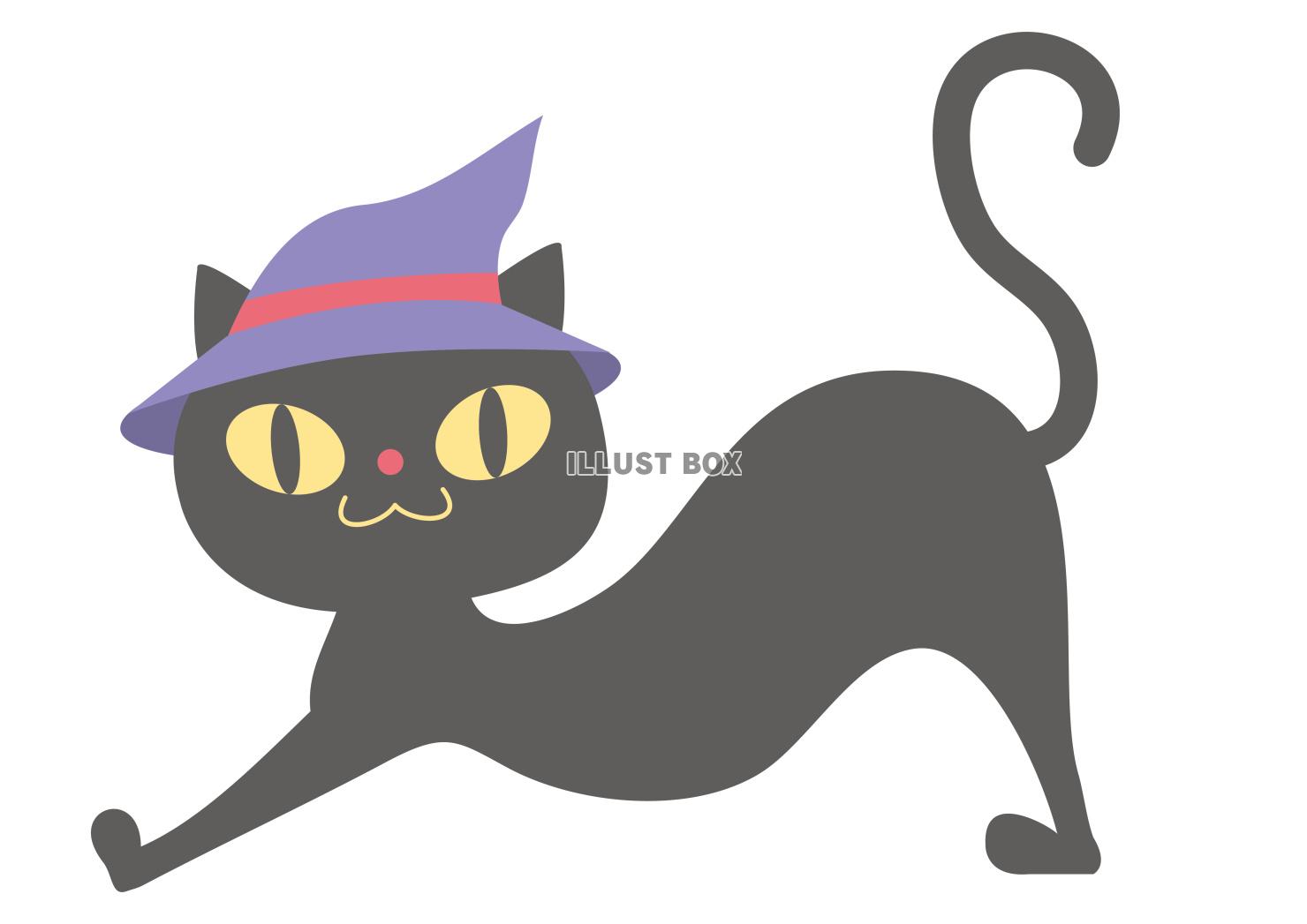 ハロウィンの伸びをする魔女帽子黒猫