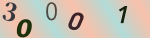 認証画像