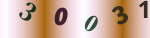 認証画像