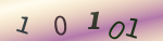 認証画像