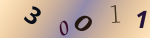 認証画像