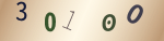 認証画像