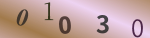 認証画像